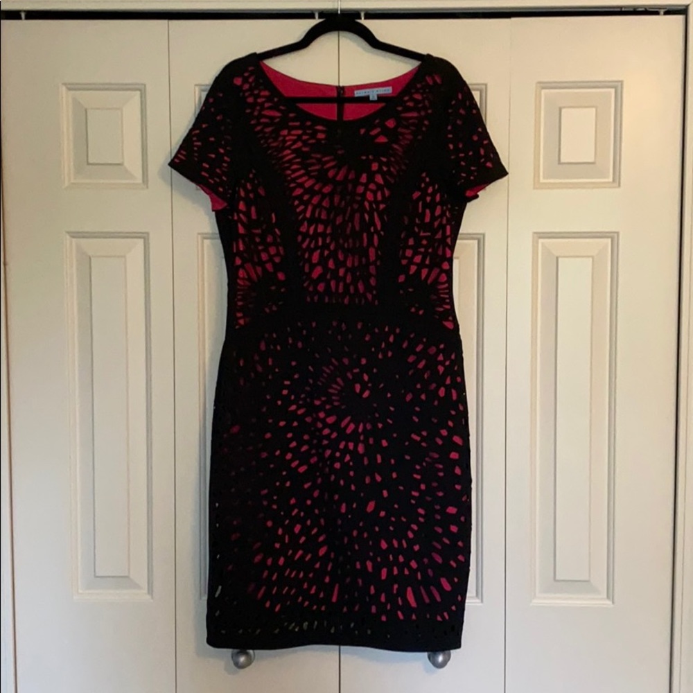 Antonio Melani Pink and Black Dress